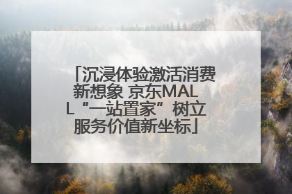 沉浸体验激活消费新想象 京东MALL“一站置家”树立服务价值新坐标