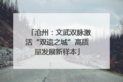 沧州：文武双脉激活“双遗之城”高质量发展新样本