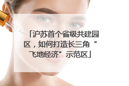 沪苏首个省级共建园区，如何打造长三角“飞地经济”示范区