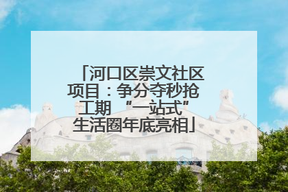 河口区崇文社区项目：争分夺秒抢工期 “一站式”生活圈年底亮相