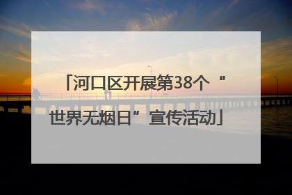 河口区开展第38个“世界无烟日”宣传活动