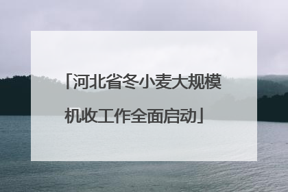 河北省冬小麦大规模机收工作全面启动