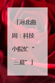 河北曲周：科技小院忙“三夏”