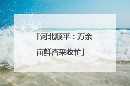 河北顺平：万余亩鲜杏采收忙