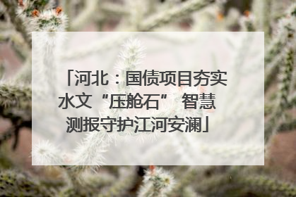河北：国债项目夯实水文“压舱石” 智慧测报守护江河安澜
