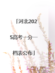 河北2025高考一分一档表公布