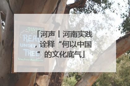 河声丨河南实践，诠释“何以中国”的文化底气