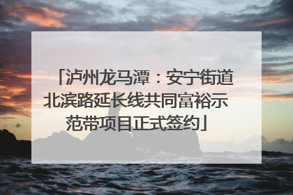 泸州龙马潭：安宁街道北滨路延长线共同富裕示范带项目正式签约
