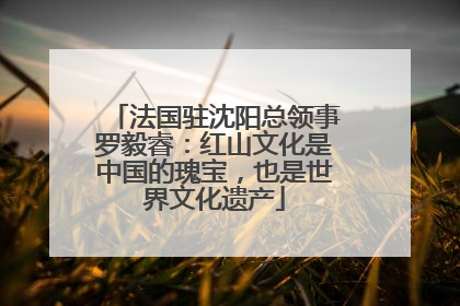 法国驻沈阳总领事罗毅睿：红山文化是中国的瑰宝，也是世界文化遗产