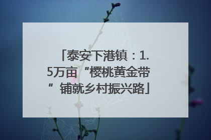 泰安下港镇：1.5万亩“樱桃黄金带”铺就乡村振兴路