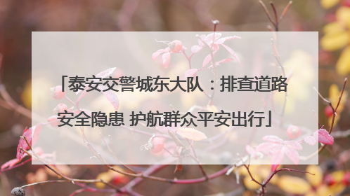 泰安交警城东大队：排查道路安全隐患 护航群众平安出行