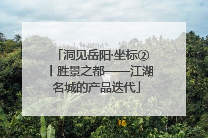 洞见岳阳·坐标②丨胜景之都——江湖名城的产品迭代