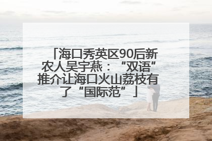 海口秀英区90后新农人吴宇燕：“双语”推介让海口火山荔枝有了“国际范”
