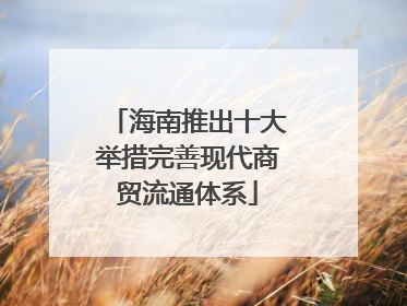 海南推出十大举措完善现代商贸流通体系