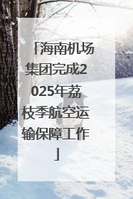 海南机场集团完成2025年荔枝季航空运输保障工作