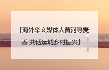 海外华文媒体人黄河寻麦香 共话运城乡村振兴