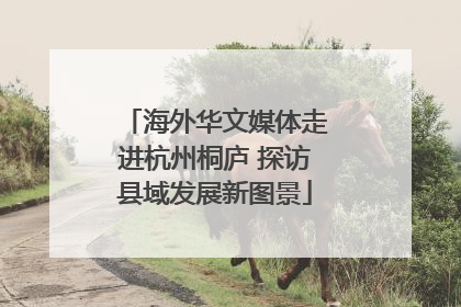 海外华文媒体走进杭州桐庐 探访县域发展新图景