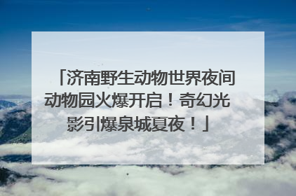 济南野生动物世界夜间动物园火爆开启！奇幻光影引爆泉城夏夜！