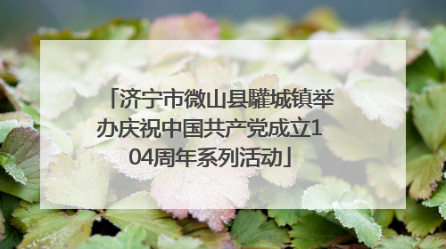 济宁市微山县驩城镇举办庆祝中国共产党成立104周年系列活动