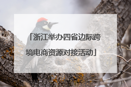 浙江举办四省边际跨境电商资源对接活动