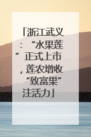 浙江武义：“水果莲”正式上市，莲农增收“致富果”注活力