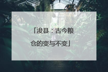 浚县：古今粮仓的变与不变
