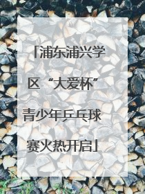 浦东浦兴学区“大爱杯”青少年乒乓球赛火热开启