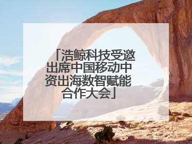 浩鲸科技受邀出席中国移动中资出海数智赋能合作大会
