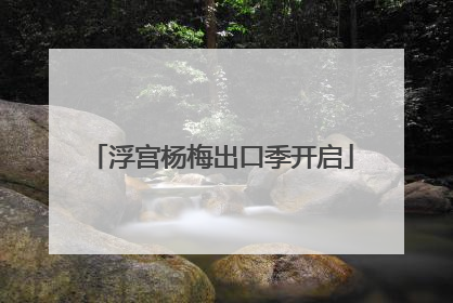 浮宫杨梅出口季开启