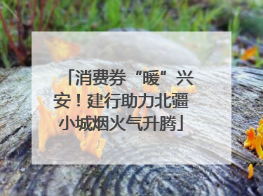 消费券“暖”兴安！建行助力北疆小城烟火气升腾
