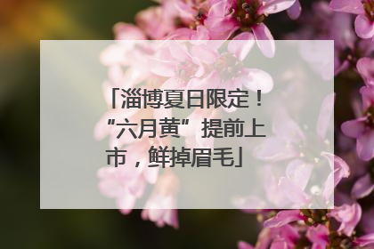 淄博夏日限定！“六月黄”提前上市，鲜掉眉毛