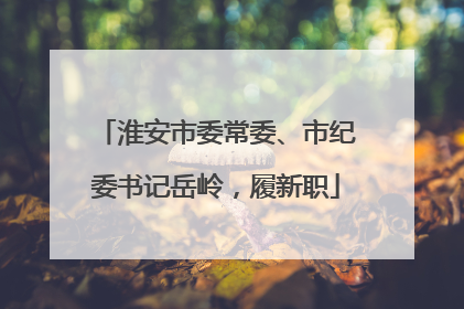 淮安市委常委、市纪委书记岳岭，履新职