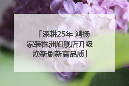 深耕25年 鸿扬家装株洲旗舰店升级焕新刷新高品质