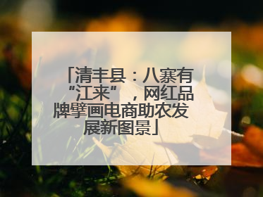 清丰县：八寨有“江来”，网红品牌擘画电商助农发展新图景