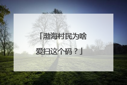 渤海村民为啥爱扫这个码？