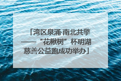 湾区泉涌·南北共擎——“花楸树”杯明湖慈善公益跑成功举办