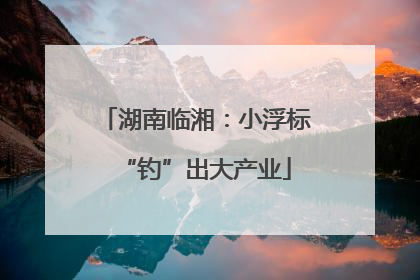 湖南临湘：小浮标“钓”出大产业