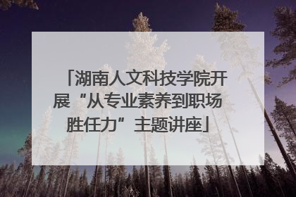 湖南人文科技学院开展“从专业素养到职场胜任力”主题讲座
