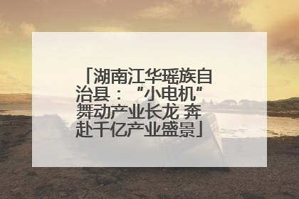 湖南江华瑶族自治县：“小电机”舞动产业长龙 奔赴千亿产业盛景