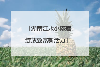 湖南江永小碗莲绽放致富新活力