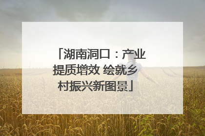 湖南洞口：产业提质增效 绘就乡村振兴新图景