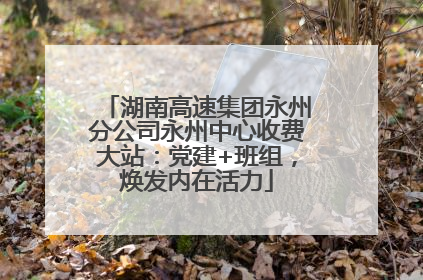 湖南高速集团永州分公司永州中心收费大站：党建+班组，焕发内在活力