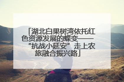 湖北白果树湾依托红色资源发展的蝶变——“抗战小延安”走上农旅融合振兴路