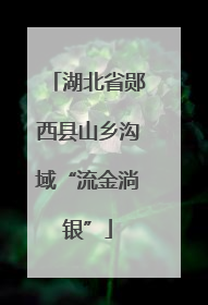 湖北省郧西县山乡沟域“流金淌银”