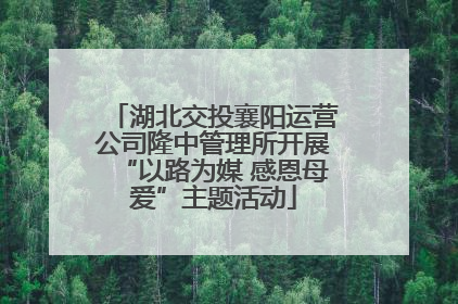 湖北交投襄阳运营公司隆中管理所开展“以路为媒 感恩母爱”主题活动