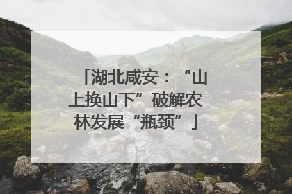 湖北咸安：“山上换山下”破解农林发展“瓶颈”