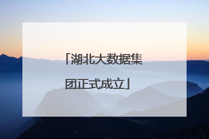 湖北大数据集团正式成立