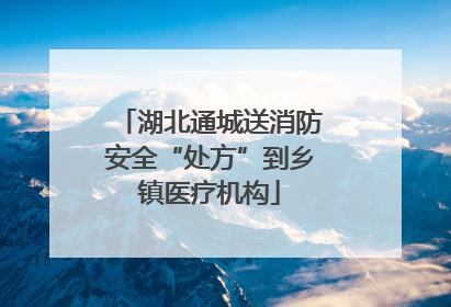 湖北通城送消防安全“处方”到乡镇医疗机构