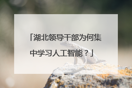 湖北领导干部为何集中学习人工智能？