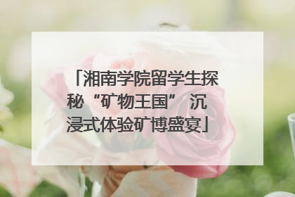 湘南学院留学生探秘“矿物王国” 沉浸式体验矿博盛宴